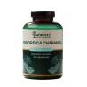 Momordica Charantia 90 cpr