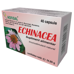 Echinacea extract concentrat (capsulex0,5g)