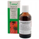 Tinctura de echinacea - 50 ml