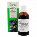 Tinctura de flori de soc - 50 ml