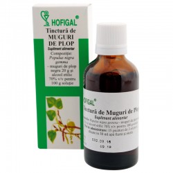 Tinctura de muguri de plop - 50 ml Tinctura de muguri de plop - 50 ml