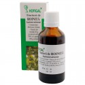 Tinctura de roinita - 50 ml Tinctura de roinita - 50 ml