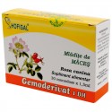 Mladite de maces - Gemoderivat Mladite de maces - Gemoderivat