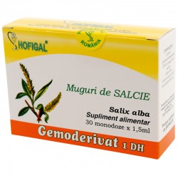 Muguri de salcie - Gemoderivat Muguri de salcie - Gemoderivat
