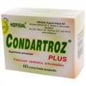 Condartroz Plus 60 compr.