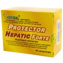 Protector hepatic forte 40 compr. Protector hepatic forte 40 compr.