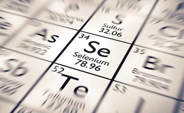 Seleniul, mineralul salvator Seleniul, mineralul salvator