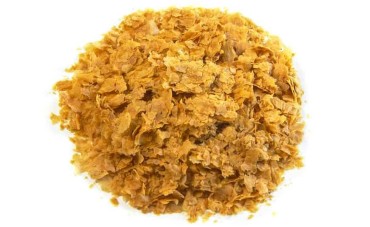 Drojdia de bere Drojdia de bere