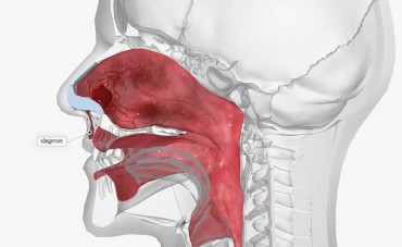 REMEDII NATURALE ÎN EPISTAXIS REMEDII NATURALE ÎN EPISTAXIS