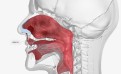 REMEDII NATURALE ÎN EPISTAXIS REMEDII NATURALE ÎN EPISTAXIS